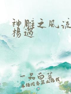 神雕之风流浪子杨过