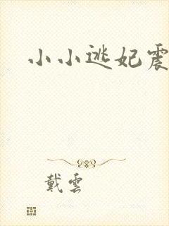 小小逃妃震江山