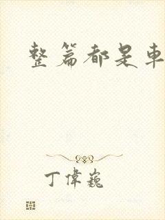 整篇都是车的肉