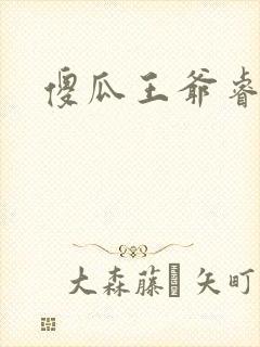 傻瓜王爷睿智妃