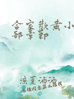 合家欢黄小梅全部章节