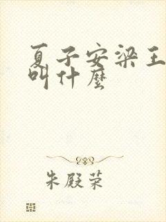 夏子安梁王书名叫什么