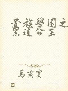 贵族学园之我的黑道公主