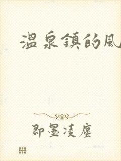 温泉镇的风流事