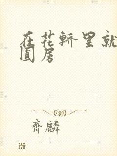 在花轿里就开始圆房