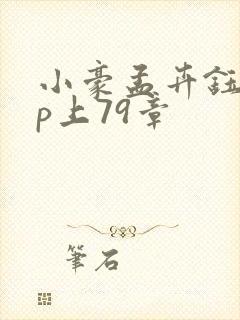 小豪孟卉钰慧三p上79章