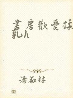 书房欢爱揉捏娇乳h