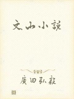 文山小说