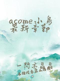 acome小鸟最新章节
