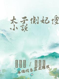 太子侧妃傻乎乎小说