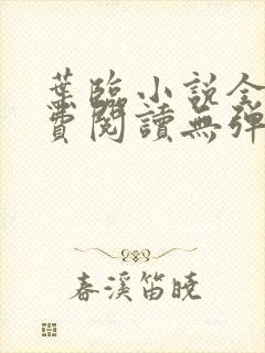 叶临小说全文免费阅读无弹窗