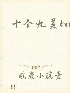 十全九美txt