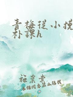 青梅从小摸到大补课h
