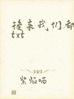 后来我们都哭了txt