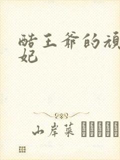 酷王爷的顽皮王妃