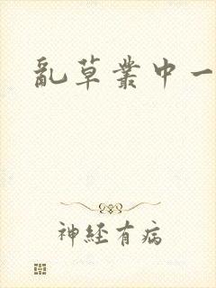 乱草丛中一杆枪