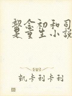 黎念初和司慕城是重生小说