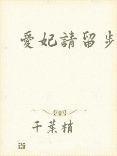 爱妃请留步