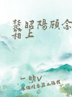 楚昭阳顾念在冰箱上