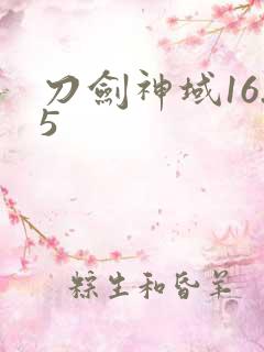 刀剑神域16.5