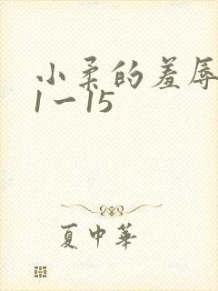 小柔的羞辱日记1一15