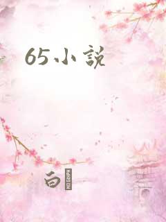65小说