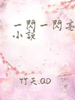 一闪一闪亮晶晶小说