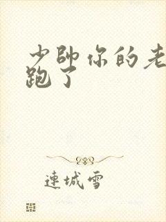 少帅你的老婆又跑了