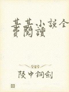 某某小说全文免费阅读