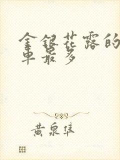 金银花露的哪个车最多