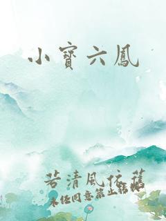 小宝六凤