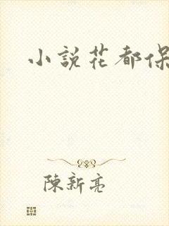小说花都保镖