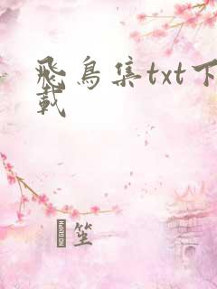 飞鸟集txt下载