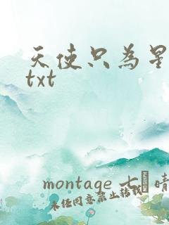天使只为星夜哭txt