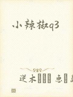 小辣椒q3