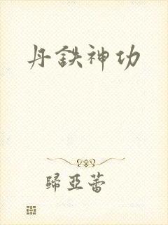 丹铁神功