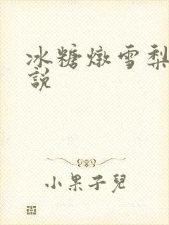 冰糖炖雪梨 小说