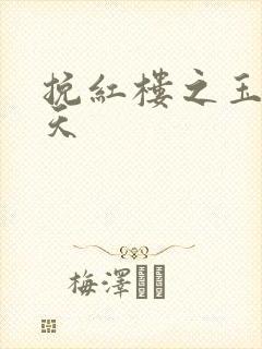 挽红楼之玉舞九天