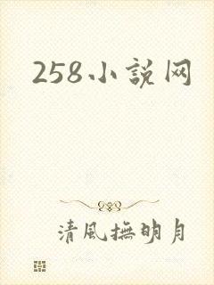258小说网