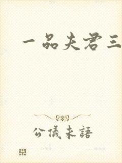 一品夫君三流妻