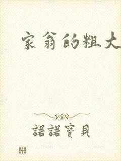 家翁的粗大炮