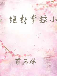 绝对掌控小说