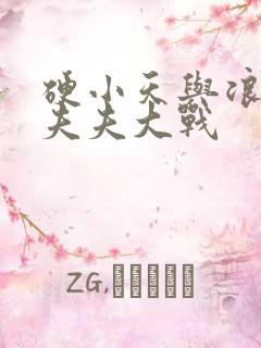 硬小天与浪小辉夫夫大战