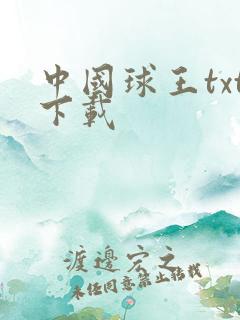 中国球王txt下载
