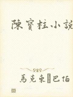 陈宝柱小说