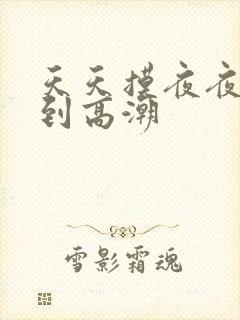 天天摸夜夜摸摸到高潮