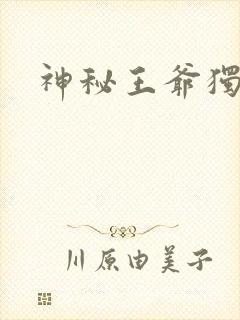 神秘王爷独宠妃