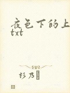 夜色下的上海滩txt