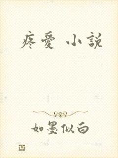 疼爱 小说