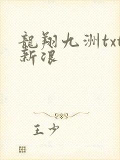龙翔九洲txt新浪